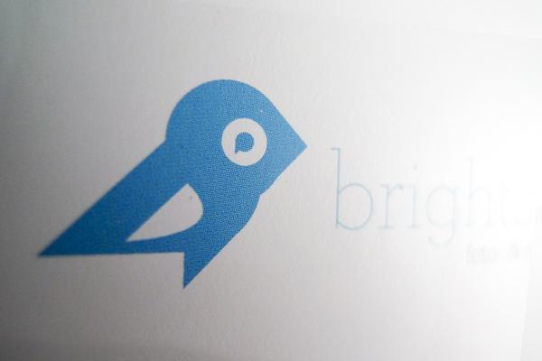 brightside-studio-bird-signetentwicklung-logodesign